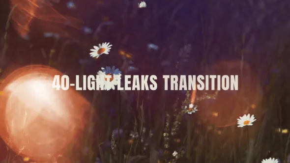 Videohive - 40+ Light Leak Transitions Pack - 59006378