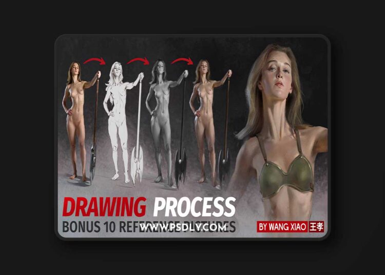 Warrior Female Drawing Process Video by Wang Xiao