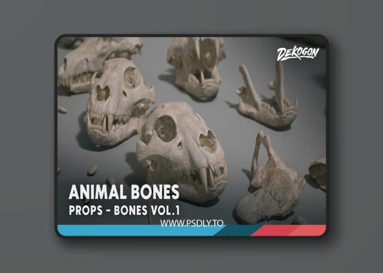 Bones VOL.1 - Animal Bones 1 (Nanite + Low Poly) (5.5)