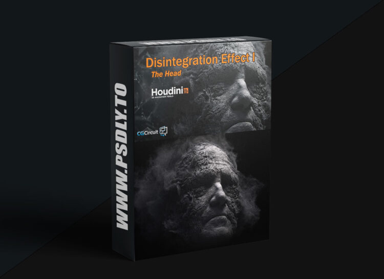 CG Circuit - Disintegration Effect I