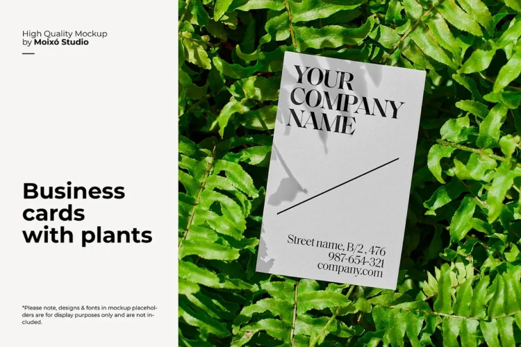 CreativeMarket - Business Card Mockup With Plants Set 92554088
