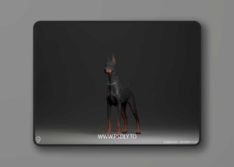 Dobermann (4.27 and 5.0 – 5.6)