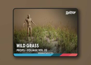 Foliage VOL.22 - Wild Grass (Low Poly) [5.1 – 5.6]