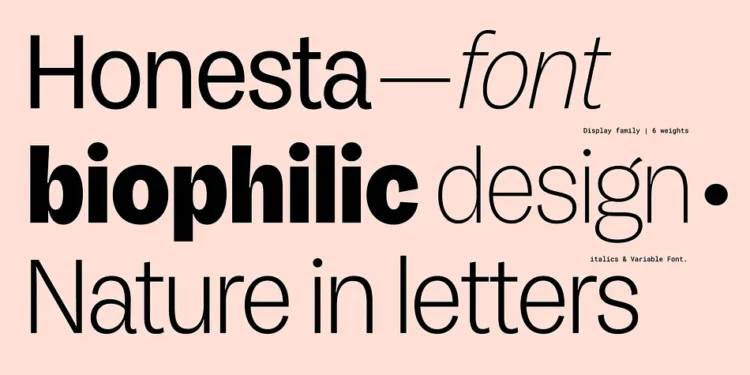 Honesta Font Family 12xOTF