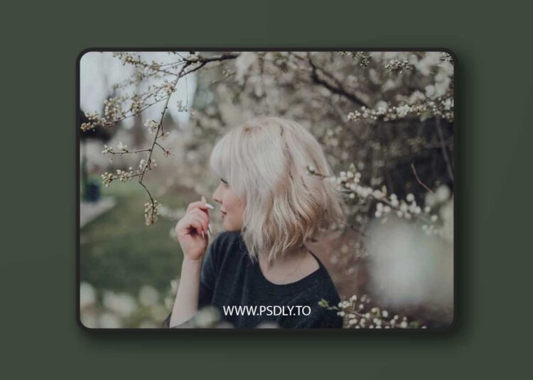 Jessica Whitaker - SATURDAY Lightroom Presets