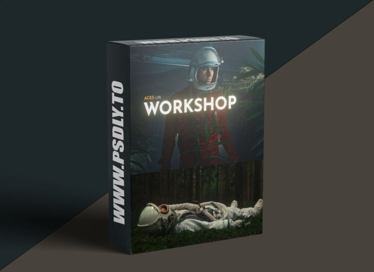 Joo Works - ACES Lite - Workshop