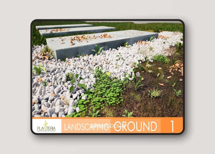 Landscaping Ground 1 (5.1 and 5.3 – 5.6)