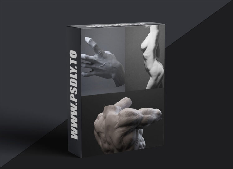 Mold 3D Academy - Artistic Anatomy - Daniel Crossland