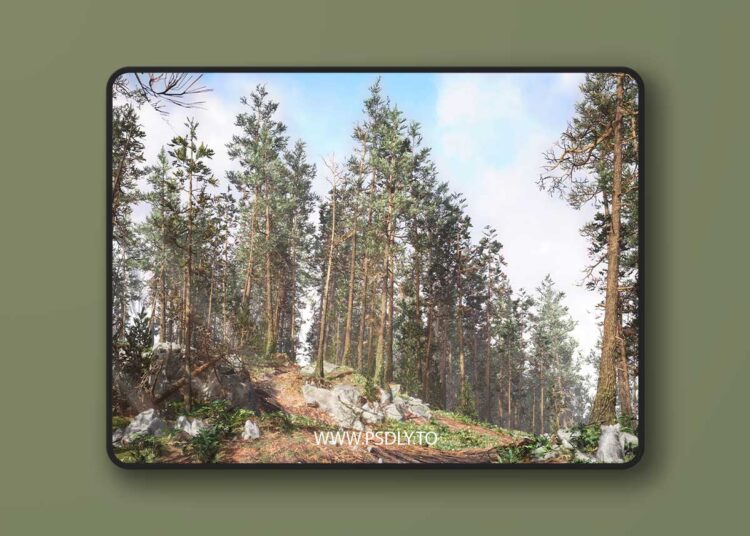Rocky Pine Forest (4.26 – 4.27 and 5.0 – 5.6)