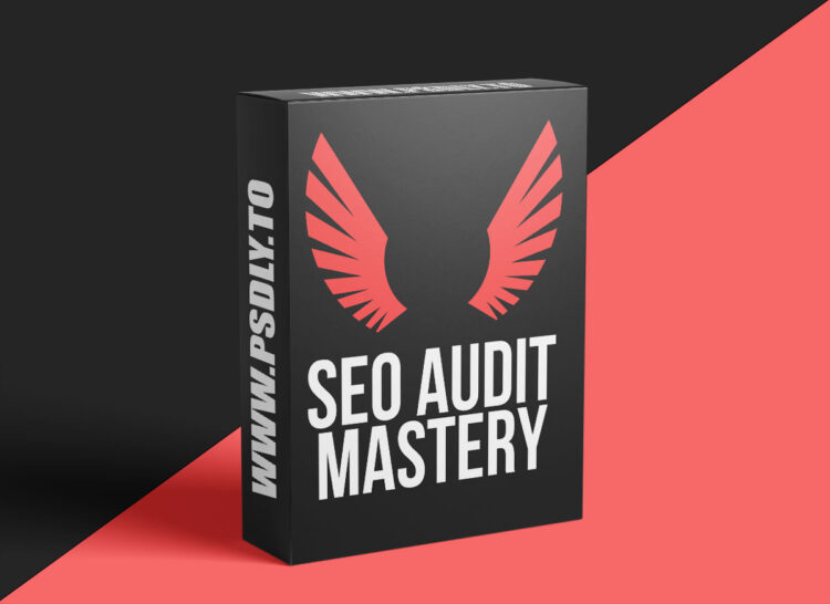 SEO Audit Mastery – SEO Course By Olga Zarr