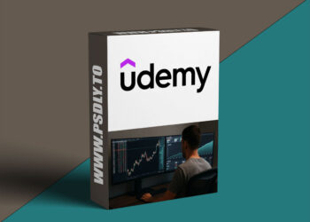 The Last Forex Trading Mentorship You’ll Ever Need