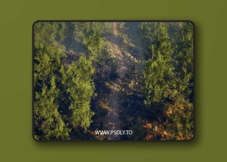 Biome Generator PCG (5.3 – 5.6)