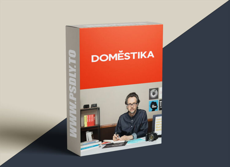 Domestika - Contemporary Brand Identity: Using Verbal and Visual Branding
