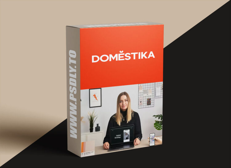 Domestika - Digital Marketing Strategy: Build Your Online Presence