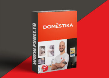 Domestika - Interior Renders with SketchUp and V-Ray Next