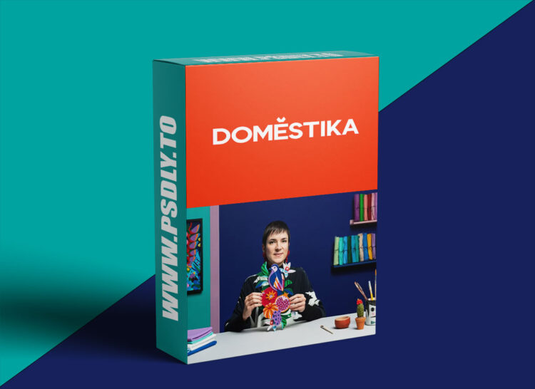 Domestika - Layered Illustration with Felt