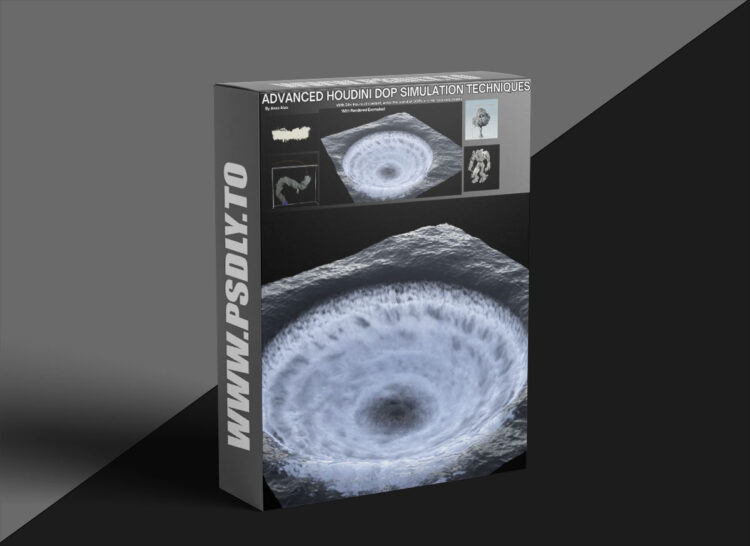 Gumroad - Anas Alaa - Advanced Houdini DOP Simulation Techniques