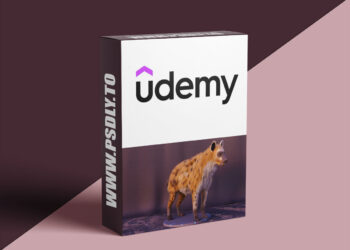 Hyena groom techniques in Houdini