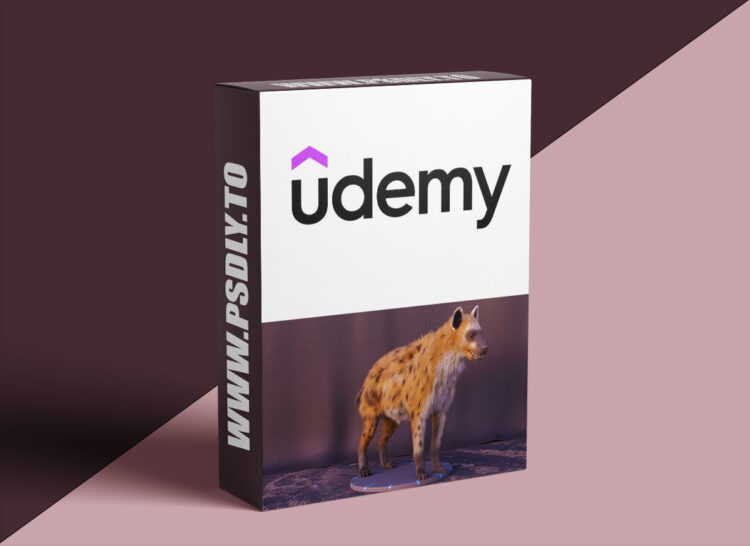 Hyena groom techniques in Houdini