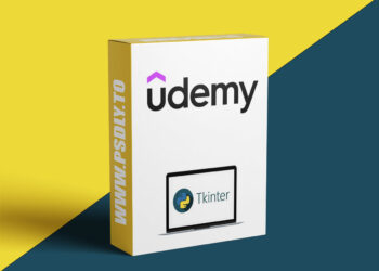 Python Tkinter : GUI Development