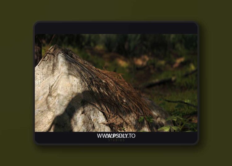 Red Pine Biome (5.2 – 5.6)