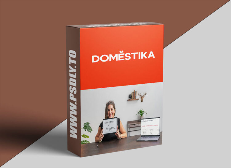 Domestika – Career Development: From Accidental to Intentional 1 Career Development: From Accidental to Intentional