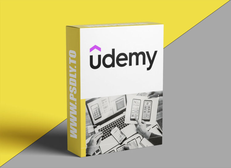 Certification in Lean UX with MVP and Metrics