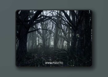 Dark Forest (4.19 – 4.27 and 5.0 – 5.7)