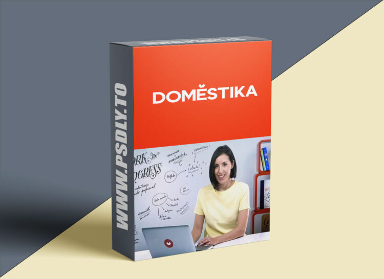 Domestika - Freelance: Keys and Tools to Find Success as Your Own Boss