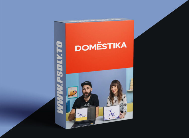 Domestika - Loop Animation with Mixed Illustration Techniques