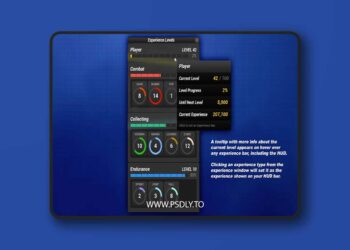 Experience System (5.6)