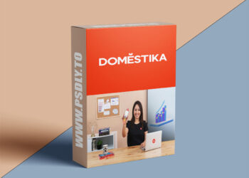 Domestika – Growth Marketing Strategies 6 Growth Marketing Strategies