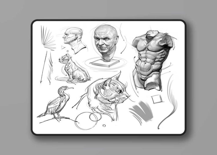 Gumroad - Brush Pack for Sketching and Painting!