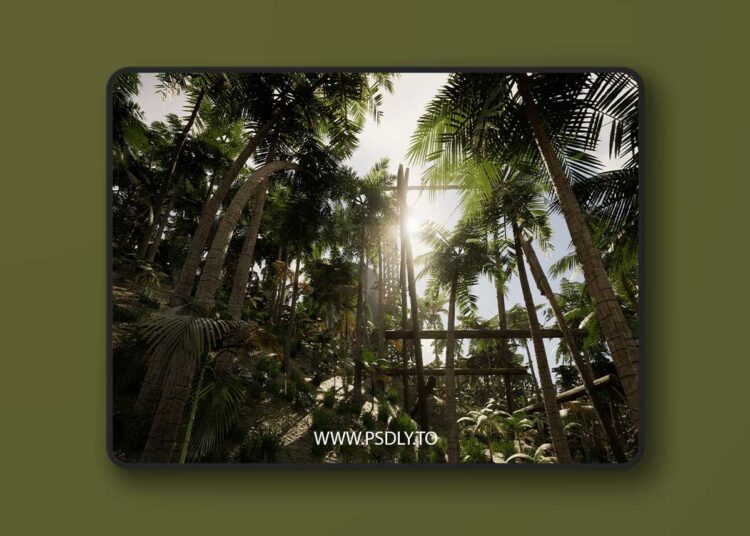 Hangar warehouse in the tropics (5.3+)