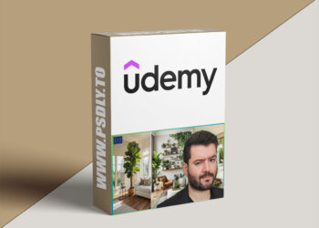 Interior Design Using Plants: Biophilic Interior Designs A-Z