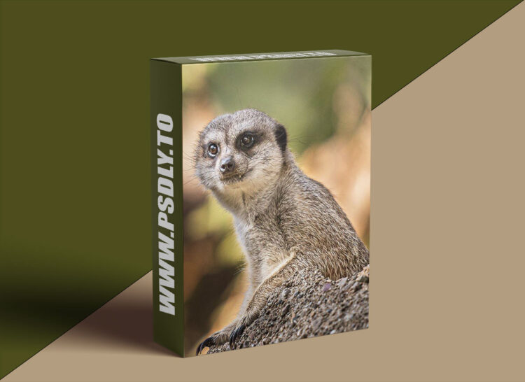 KelbyOne - The Art of Zootography