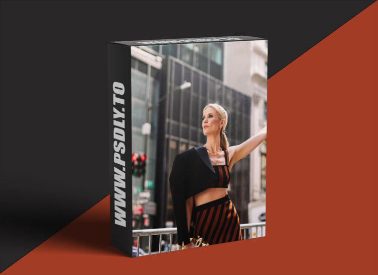 Leanne Lopez Mosley – The Make Money Bundle