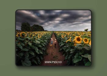 Meridian Presets Meg Loeks Solstice