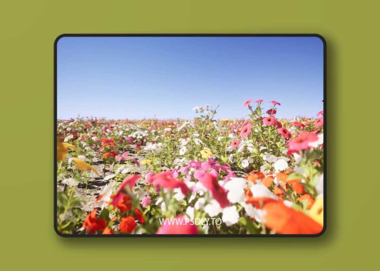 Nanite Flower Pack (5.1+) for Unreal Engine 1 Nanite Flower Pack (5.1+)