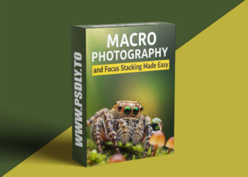 Nic Van Oudtshoorn - Macro Photography and Focus Stacking Made Easy 5 Nic Van Oudtshoorn - Macro Photography and Focus Stacking Made Easy