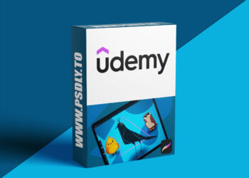 Udemy – Shape Language In Illustration For Beginners In Procreate 6 Shape Language In Illustration For Beginners In Procreate