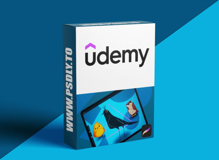 Udemy – Shape Language In Illustration For Beginners In Procreate 1 Shape Language In Illustration For Beginners In Procreate