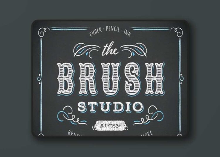 The Brush Studio ABR 46842