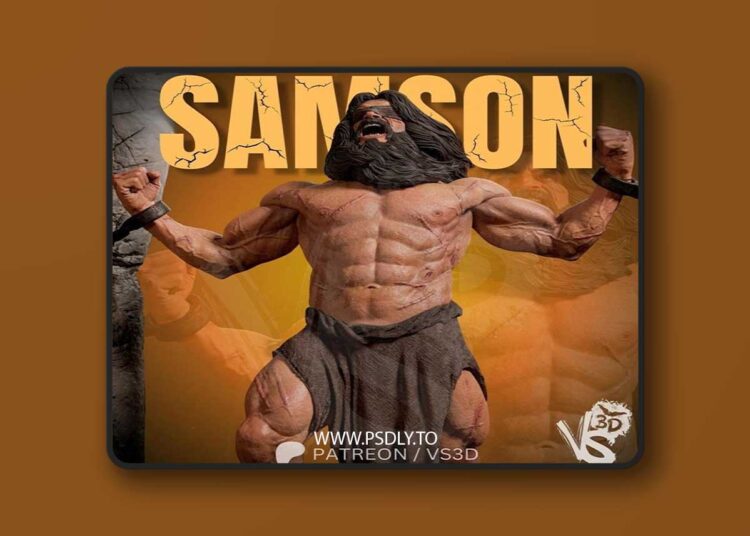 VS3D – Samson – 3D Print Model STL