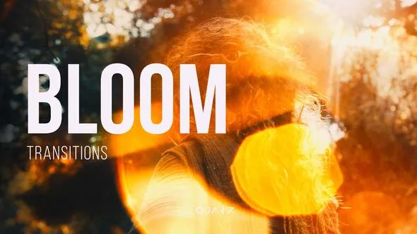 Videohive - Bloom Transitions for After Effects - 60506513