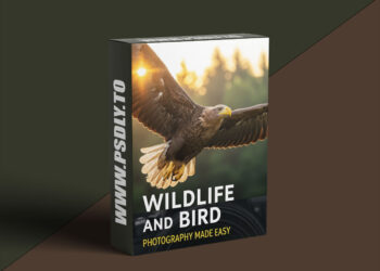 Wildlife and Bird Photography Made Easy 6 Wildlife and Bird Photography Made Easy