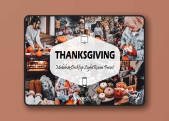 12 Thanksgiving Lightroom Presets 3 12 Thanksgiving Lightroom Presets
