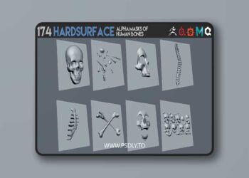 174 Hardsurface alpha masks of human bones 6 174 Hardsurface alpha masks of human bones