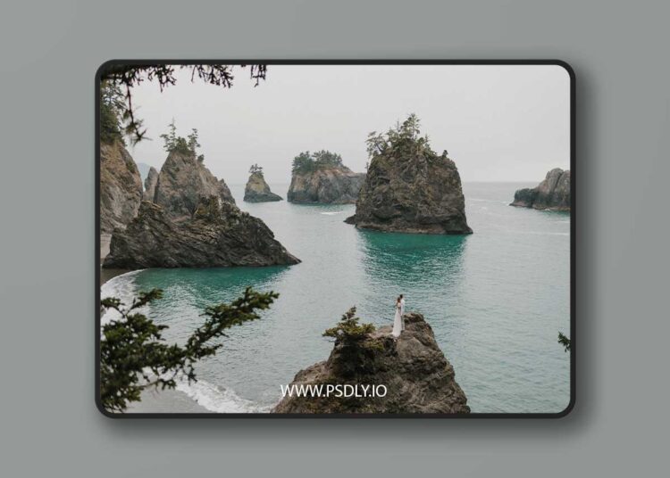 Carley Mae Jade Pack Presets Desktop Presets