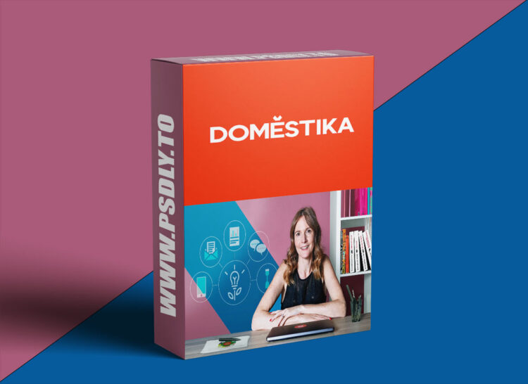 Domestika – Creation of an Attractive and Responsible Brand 1 Creation of an Attractive and Responsible Brand